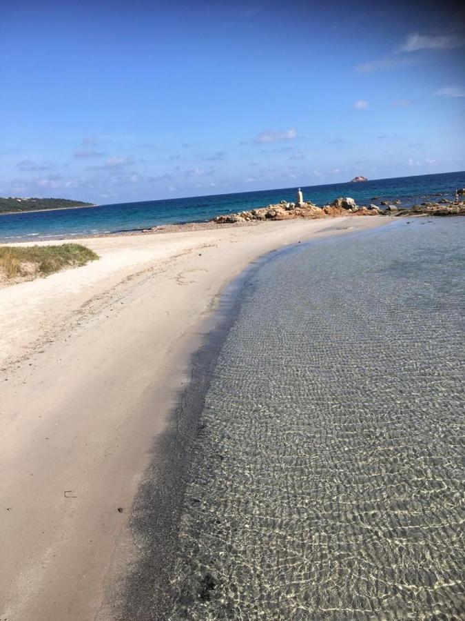 Ferienwohnung La Corse Les Pieds Dans L'Eau Pinarellu Exterior foto